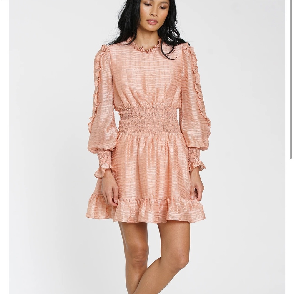 DRA Los Angeles Brand new pink dress